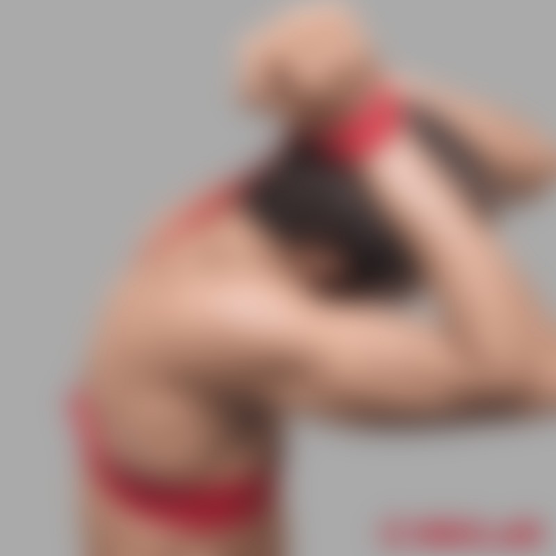 Shibari 皮革捆绑绳 - 红色 - 4