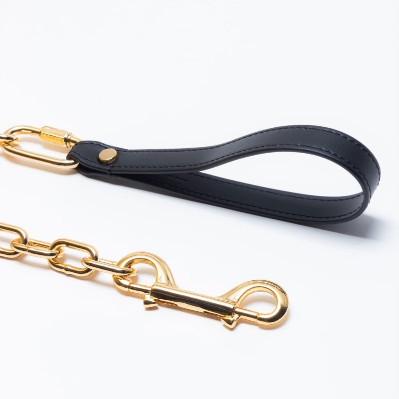 Golden BDSM Chain Leash - A symbol of luxury and control