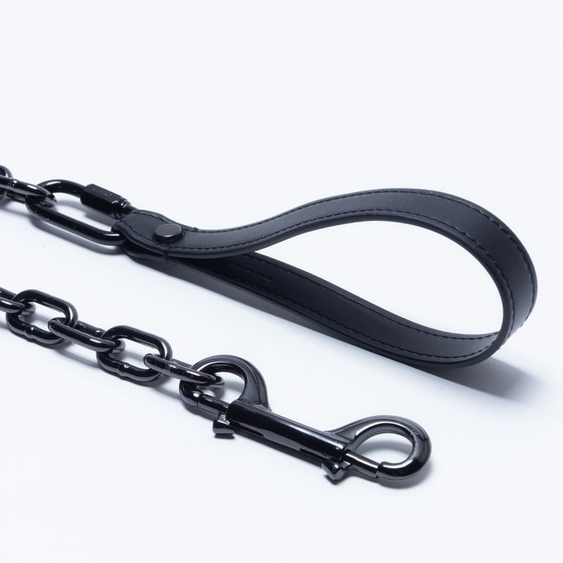 BDSM Chain Leash Ruthenium - A Sign of Mysticism and Power