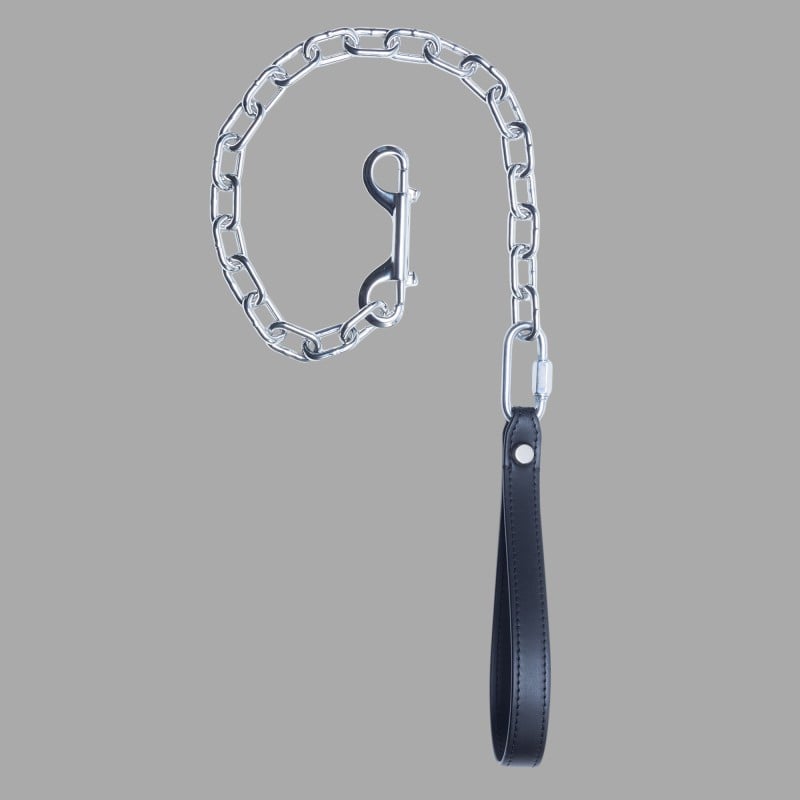 BDSM Chain Leash Palladium - Sitoutuminen puhtaaseen tyylikkyyteen ja dominointiin