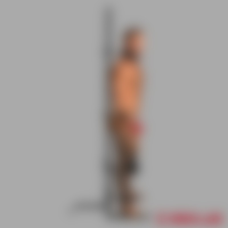 Tower of Pain Pleasure med sexmaskin - 3