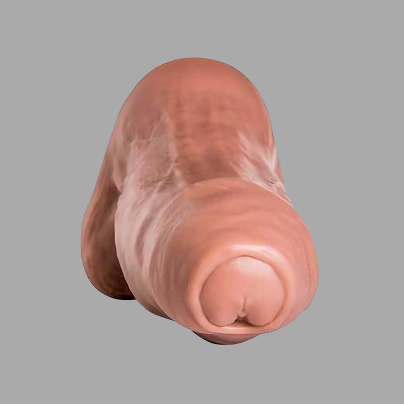 Goliath - Dildo de Hankeys Toys