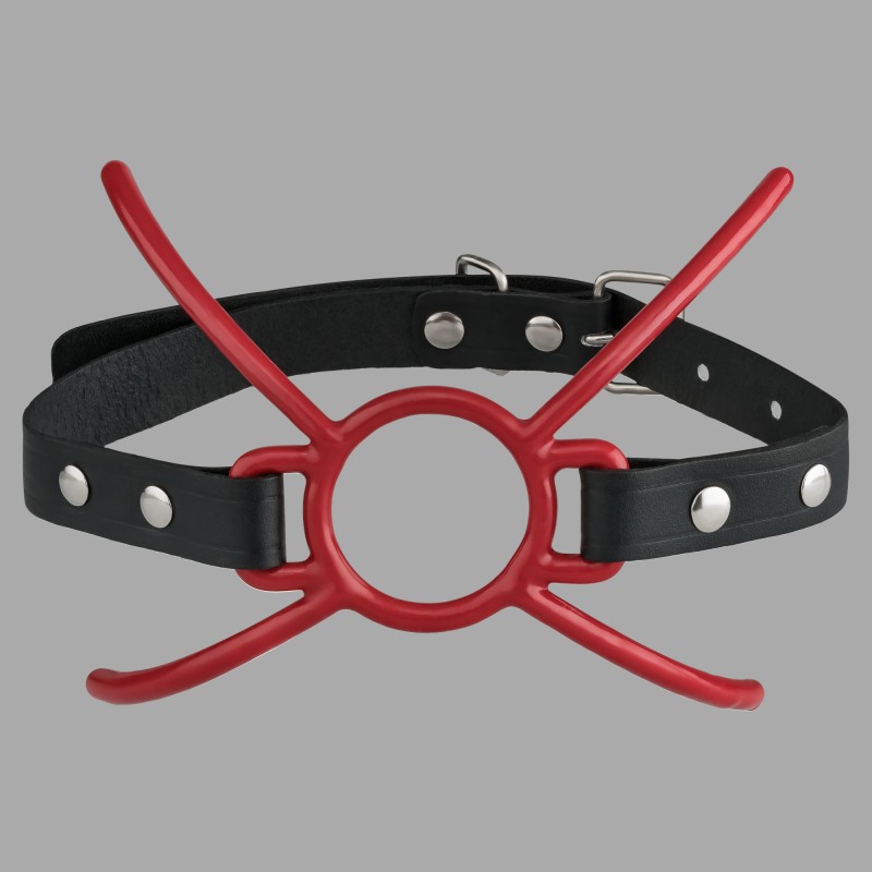 Vinil kaplamalı Spider Gag - MEO'dan BDSM ağzı - 5