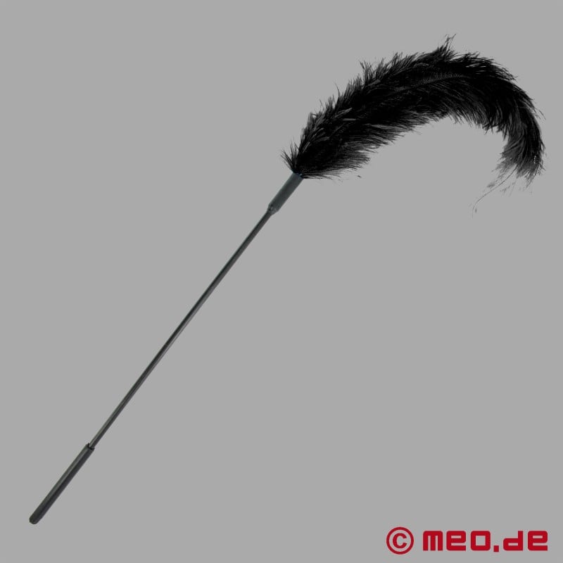 Tickler BDSM con plumas de avestruz negras