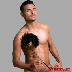 Tickler BDSM cu pene de struț negru