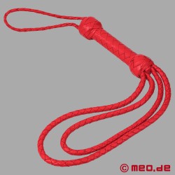 The Disciplinarian - Rode leren luszweep