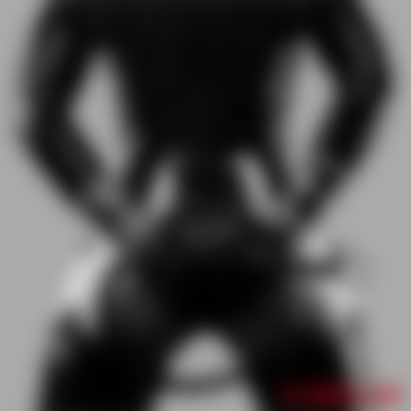 The Disciplinarian™ – Schlaufenpeitsche aus rotem Leder - 3