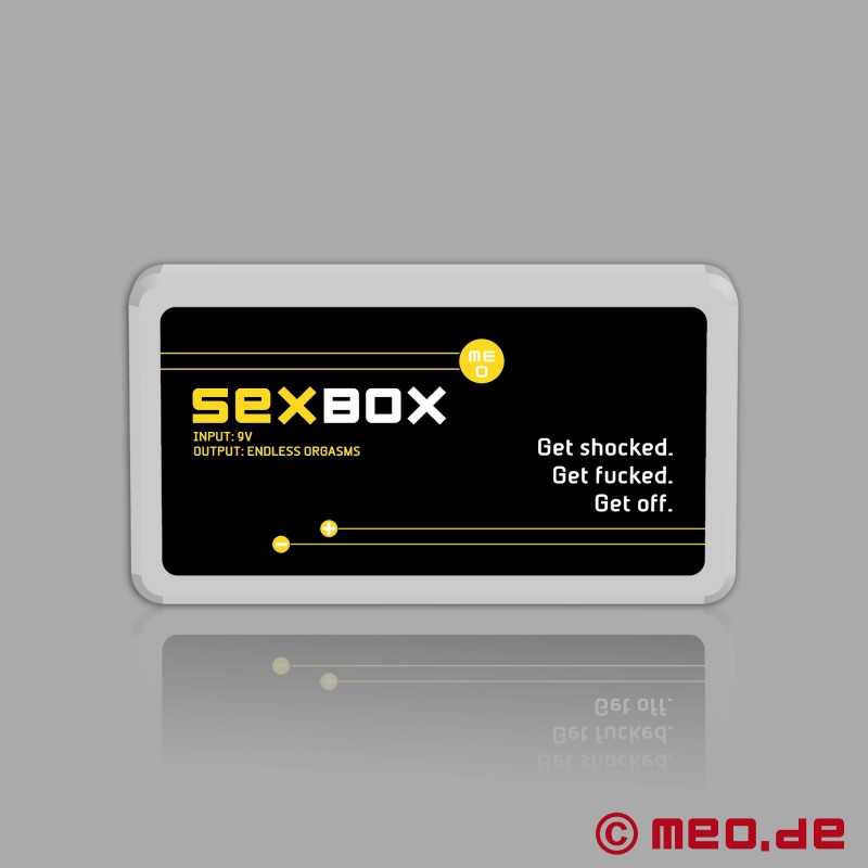 SexBox с аксесоари - устройство за електростимулация на пениса, тестисите, ануса и зърната - MEO Германия
