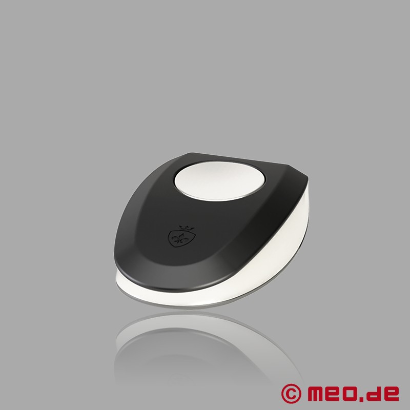 JANE UNTAMED E-Stim Liebeskugeln mit Vibration Mystim - 4