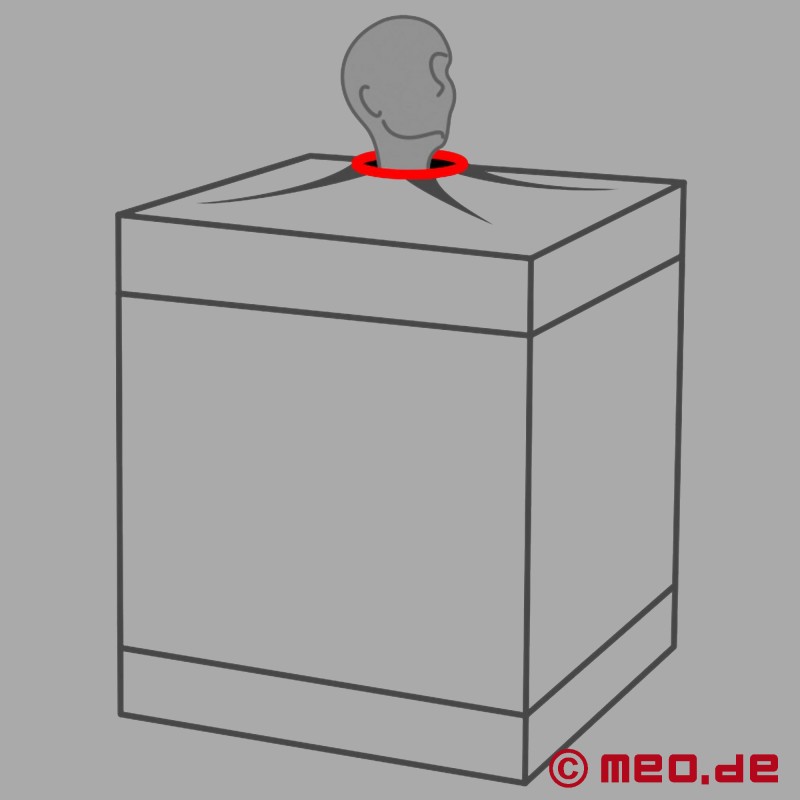 Cabine BDSM « Bukkake » de Secret Dome™ - 4