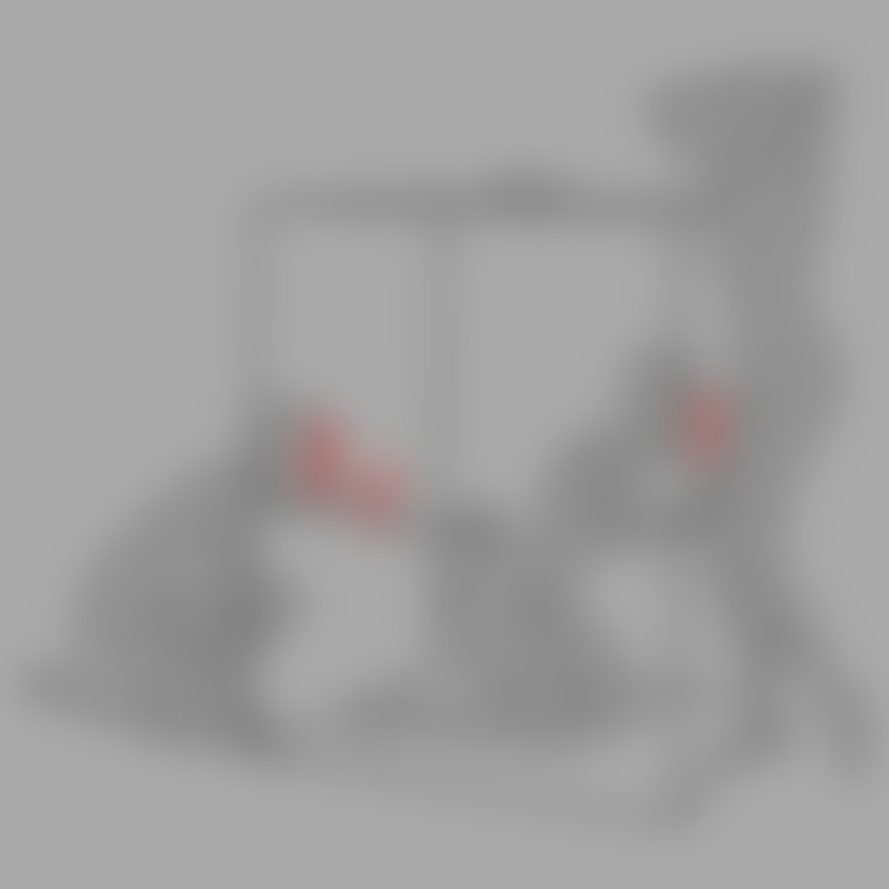 Cabina BDSM "Scandale" di Secret Dome™ - 4