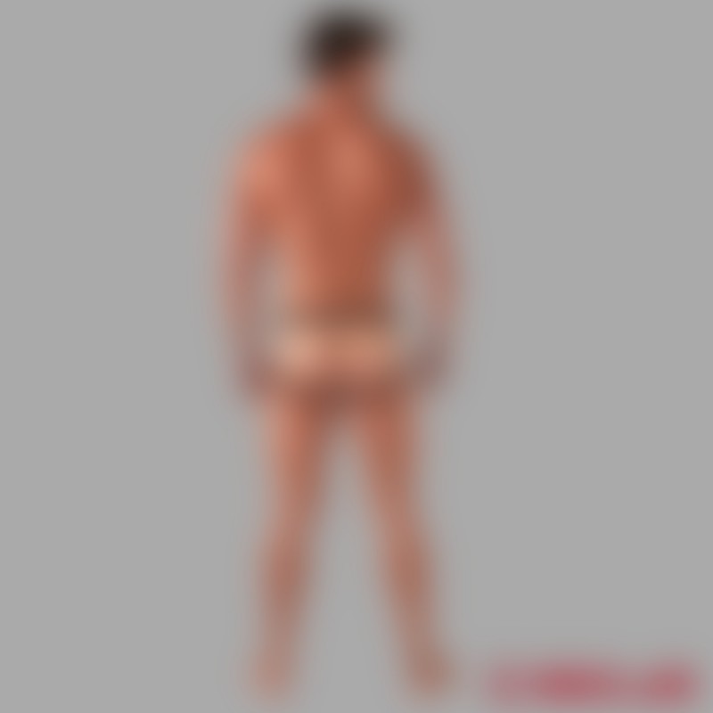 AlphaMale® - Forførende jockbriefs - 6