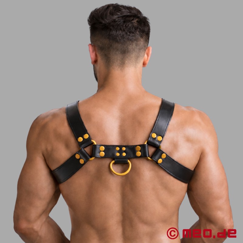 Ham de piele pentru bărbați - negru/galben - FetishGear™ by MEO® - 3