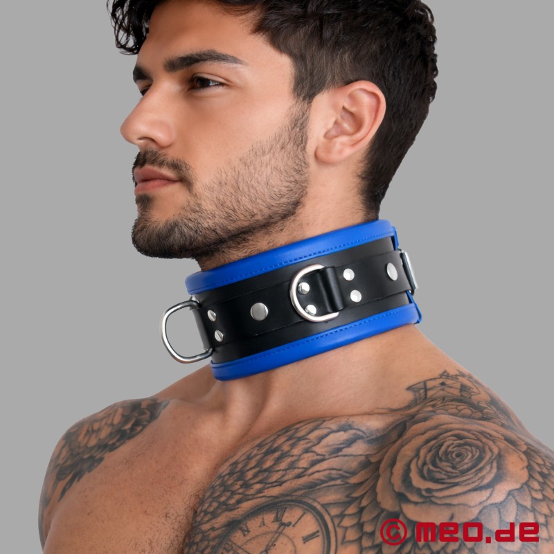 Bondage-Halsband aus schwarz-blauem Leder von der Distinct-Kollektion von MEO® - 1