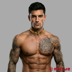 Goldenes BDSM Halsband - Thumbnail