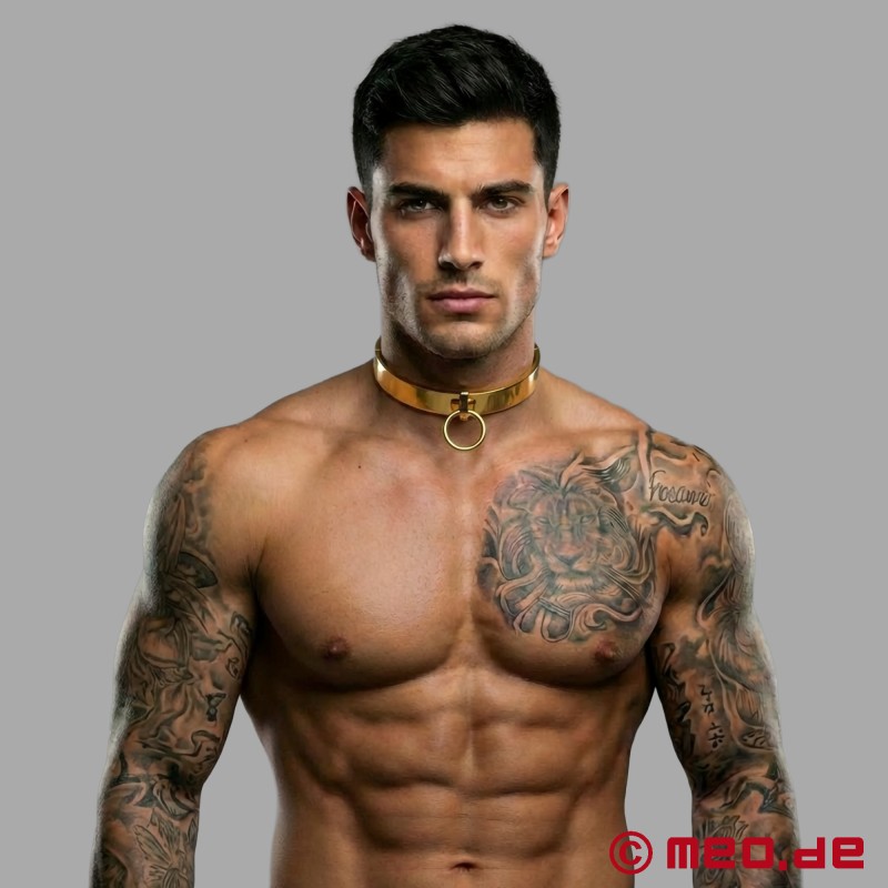 Gouden BDSM halsband - 2