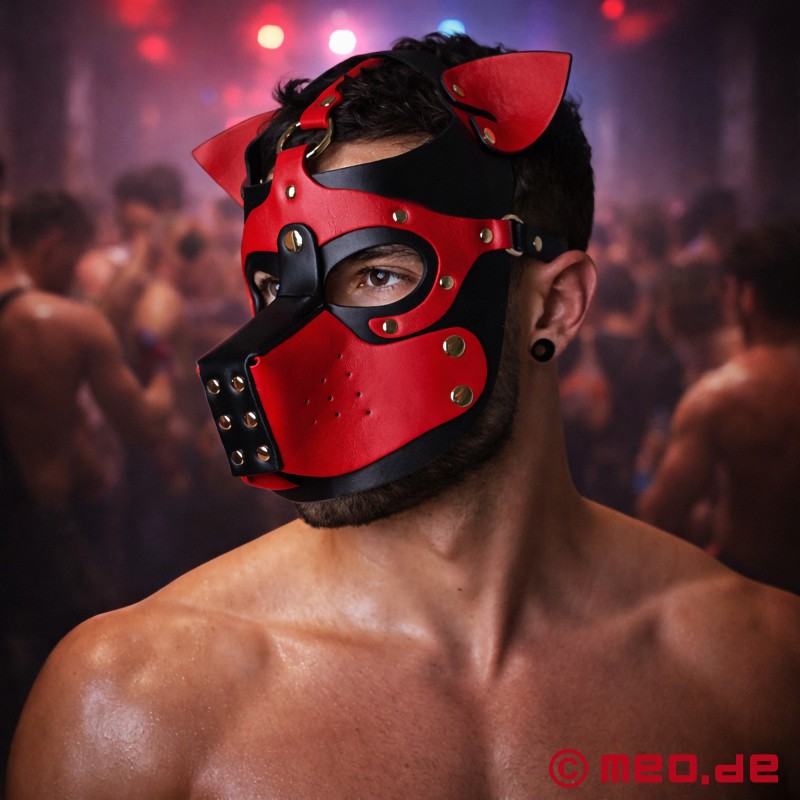 Playful Pup Hood - maska v črni/rdeči barvi - 1