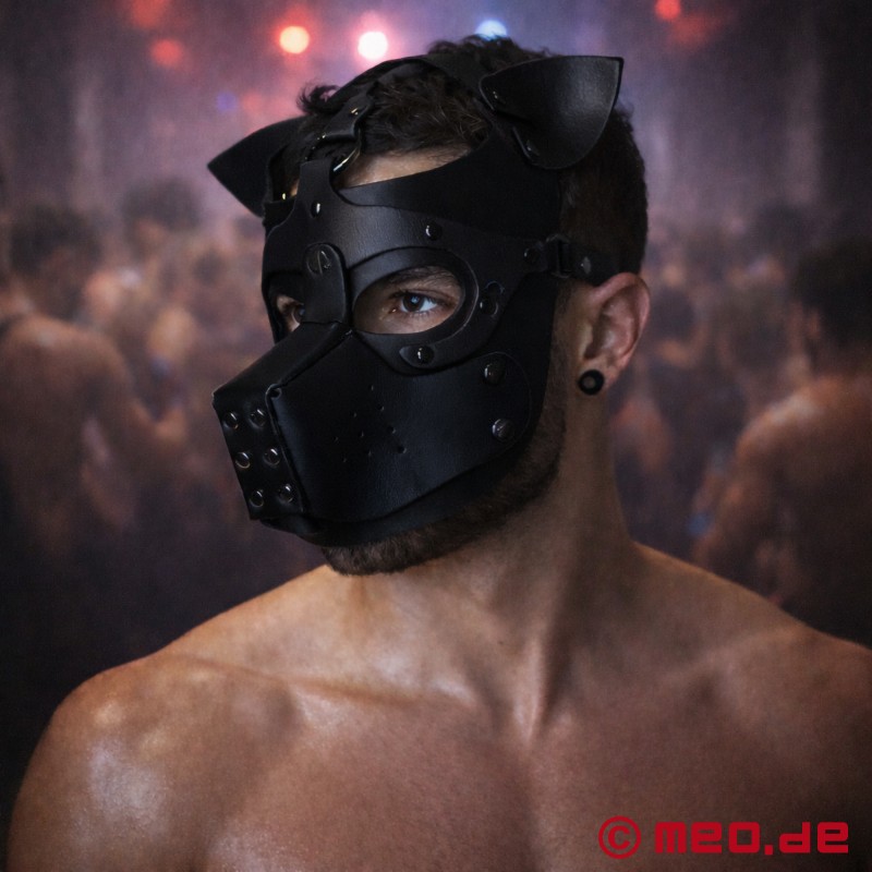 Playful Pup Hood - Masker zwart/zwart - 1