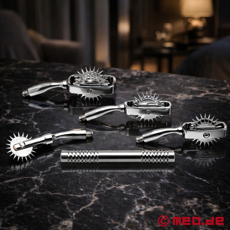 Dr Sado Pinwheel Set pre BDSM - 1
