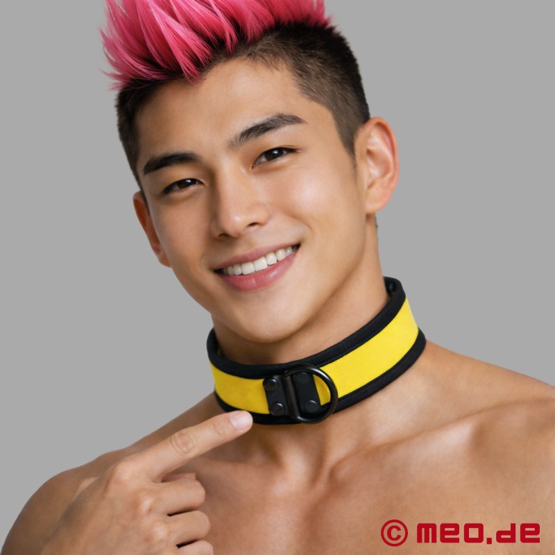 Collier en néoprène jaune - MEO® Germany - 2