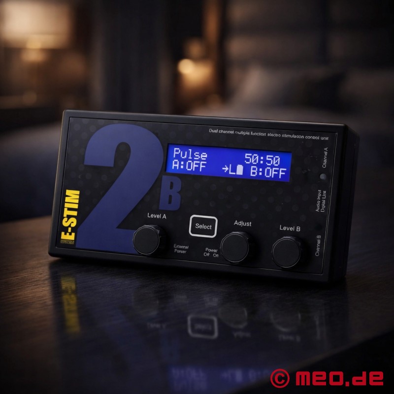 2B™ - BDSM elektrostimuliacijos prietaisas iš E-Stim Systems - 2