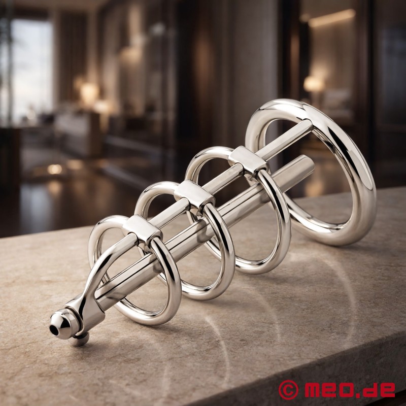 佐渡先生による "penis cage with prince sceptre "ペニスケージ - 1