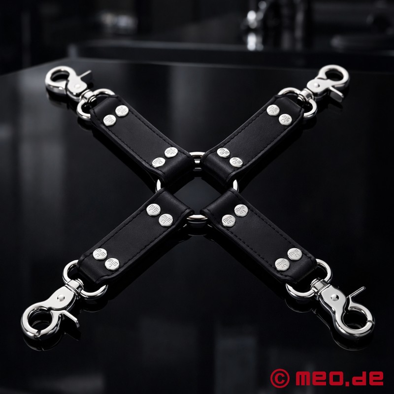 Σύνδεσμος Hogtie - 1