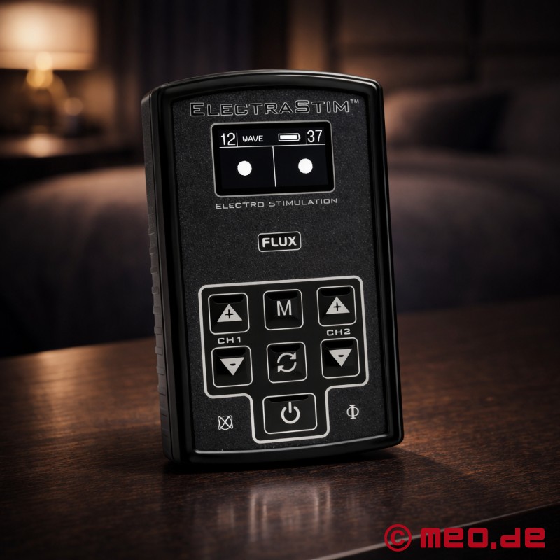 ElectraStimのFlux EM180電気刺激装置 - 1