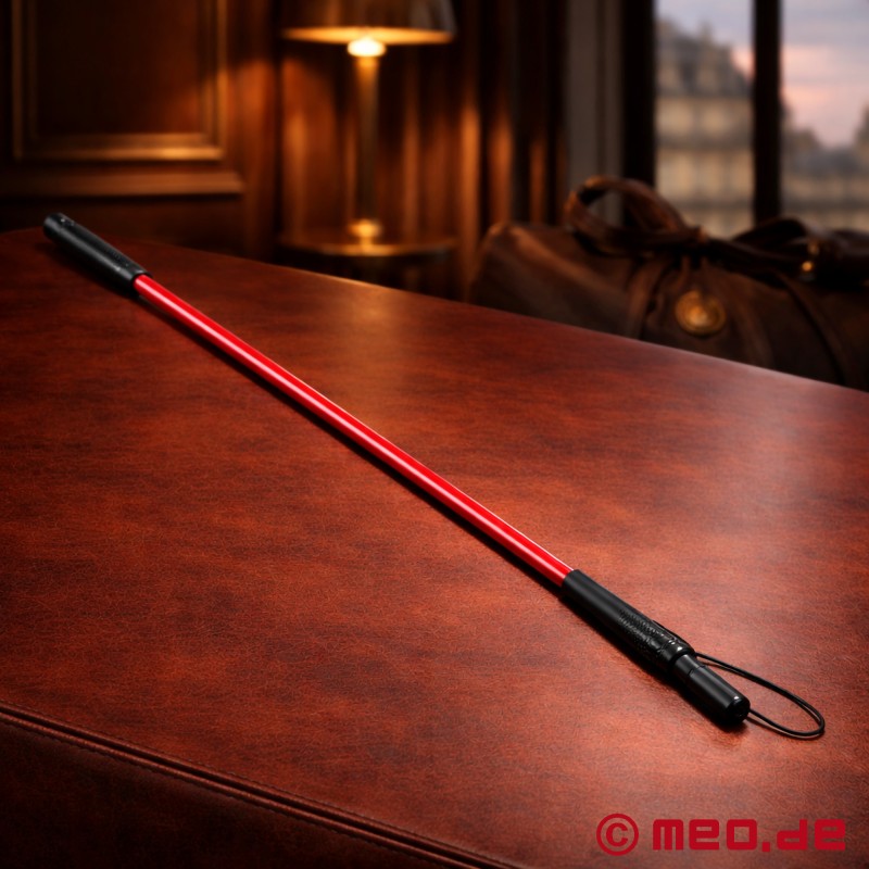 Chicote BDSM de luxo em metal - Bengala Daemonium - 2