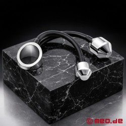 来自 MEO 的双 Ass Lock