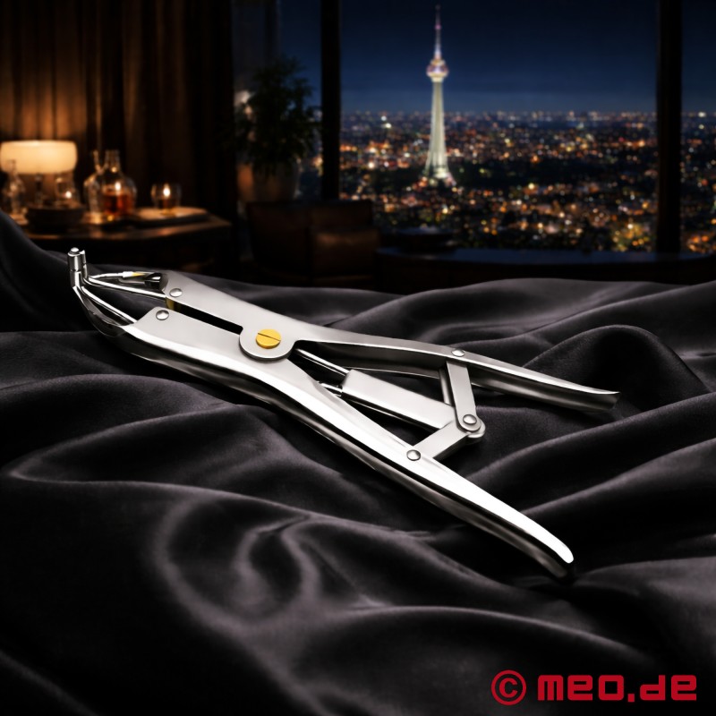 Kinkster Nipple Play Toy di Dr. Sado - 2