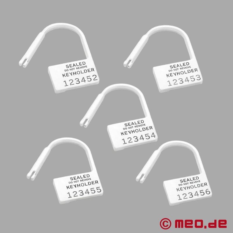 Cadenas à usage unique pour ceinture de chasteté – Paquet de 5 - 2