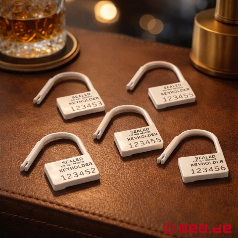 Cadenas à usage unique pour ceinture de chasteté – Paquet de 5 - 1