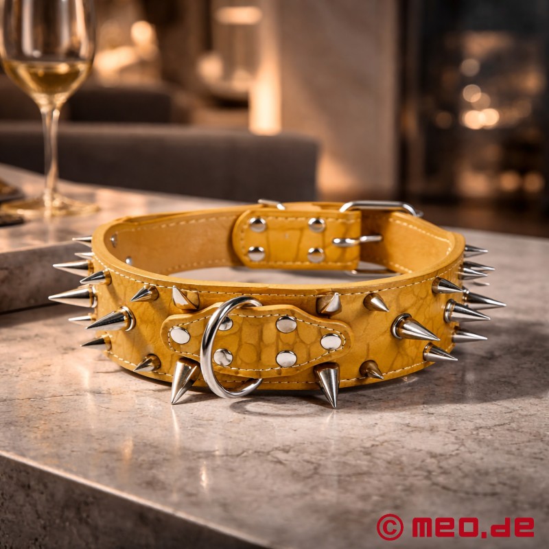 Collar de púas doradas para el Human Puppy - 1