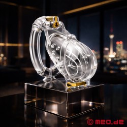 NoPacha Allegiance - Yeni nesil bekaret kemeri