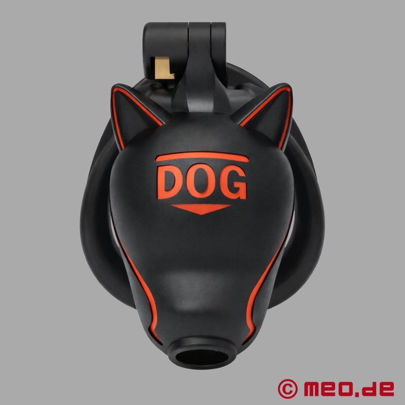 Kastītis - NoPacha® x BadPuppy® - Melns - 2