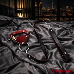 Dominion Lock & Lead - Genital Esaret - Cock Bondage - Thumbnail