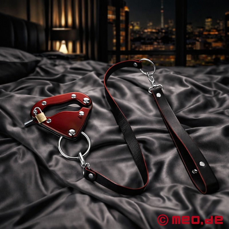 Dominion Lock &amp; Lead - Genital Esaret - Cock Bondage - 1
