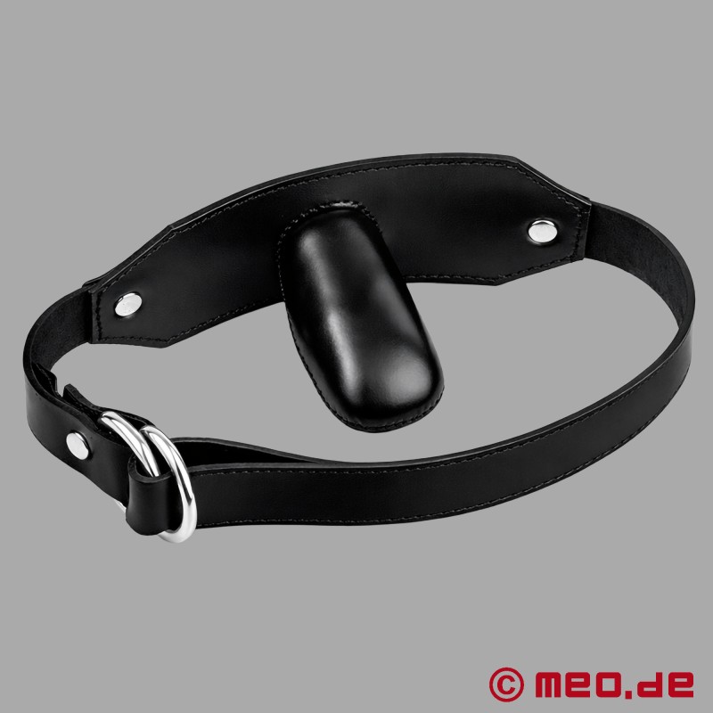 BDSM Knebel - Mund voll - 3