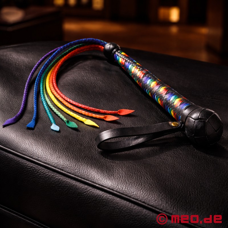 Chicote BDSM - Cat-O-7-Tails - 1