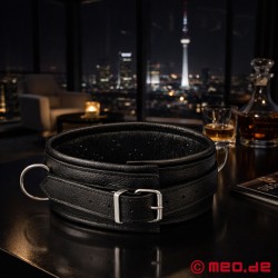 Collar BDSM de cuero con pinchos y anillas en D - Thumbnail