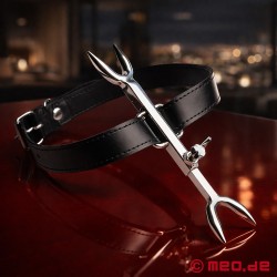 Furculiță eretică - accesoriu S&M pentru profesioniștii BDSM - Thumbnail