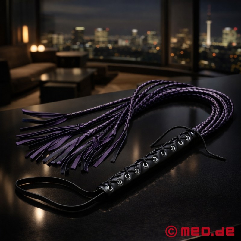 SM Whip - Katten med de ni halene - 1