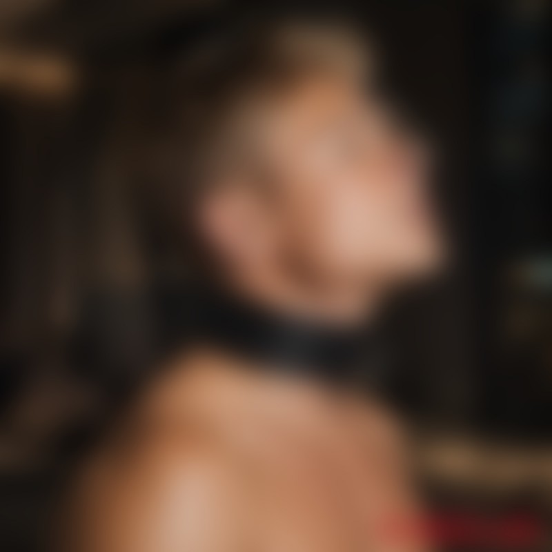 DominateMe™ van MEO® - Afsluitbare leren halsband met neushaak - 1