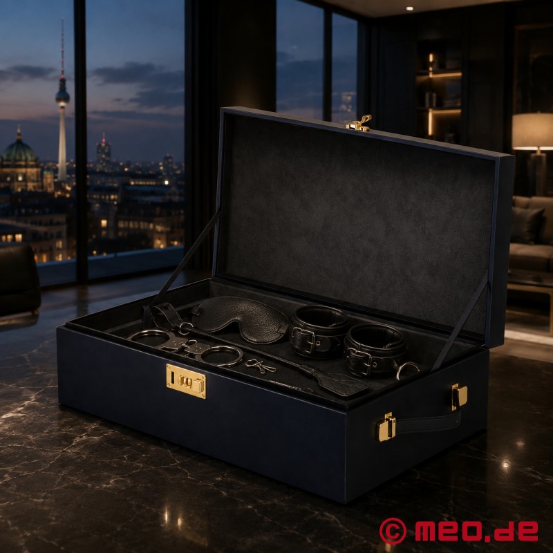 MEO® The Box™ Prestige Edition - Maletín de almacenamiento para sextoys - 3
