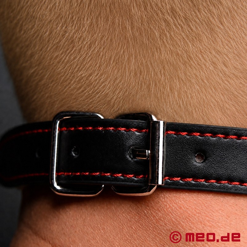 BadPuppy® by MEO® - Mordaza rosa en forma de hueso - 5