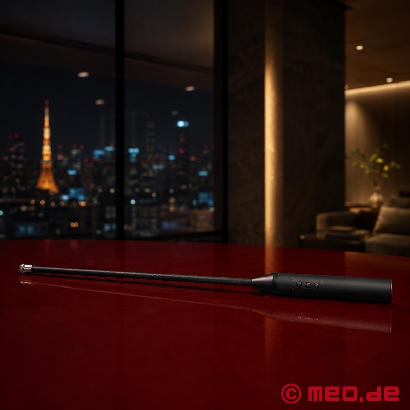 Dr. Sado® Electro Shock Cane - BDSM-stok med elektrostimulering - 2